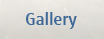 Gallery fisher