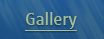 Gallery fisher
