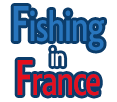 Logo Fishing in france
