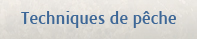 Techniques de pêche