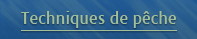 Techniques de pêche